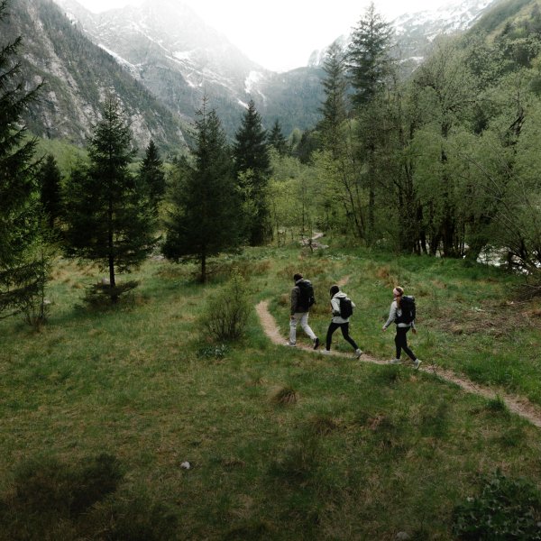 Senderistas en un camino forestal rodeado de un impresionante paisaje montañoso con árboles y rocas